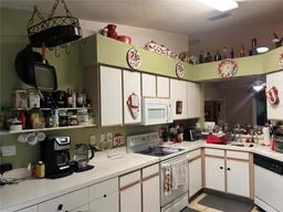 Picture of 12139 Buffington Lane, Riverview, FL 33579