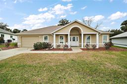 Picture of 11053 SE 174Th Loop, Summerfield, FL 34491
