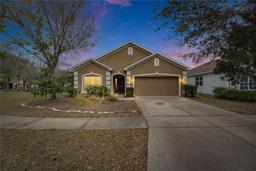 Picture of 10328 Celtic Ash Drive, Ruskin, FL 33573