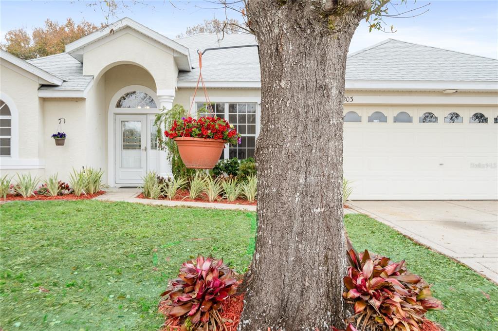 Picture of 3203 Victoria Lane, Eustis, FL 32726