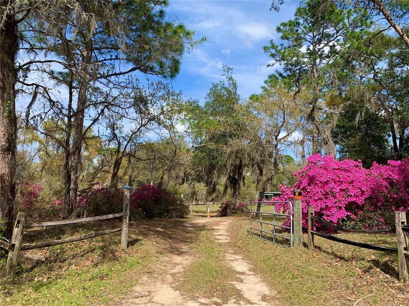 Picture of 24645 NE 177Th Terrace, Fort Mc Coy FL 32134