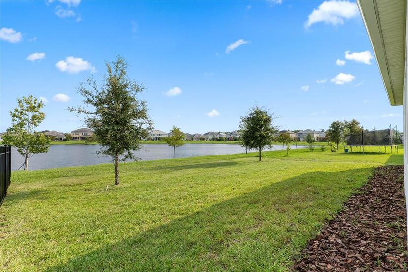 Picture of 11381 Satire Street, Orlando FL 32832
