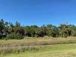 Picture of 213 Venice Palms Boulevard, Venice, FL 34292