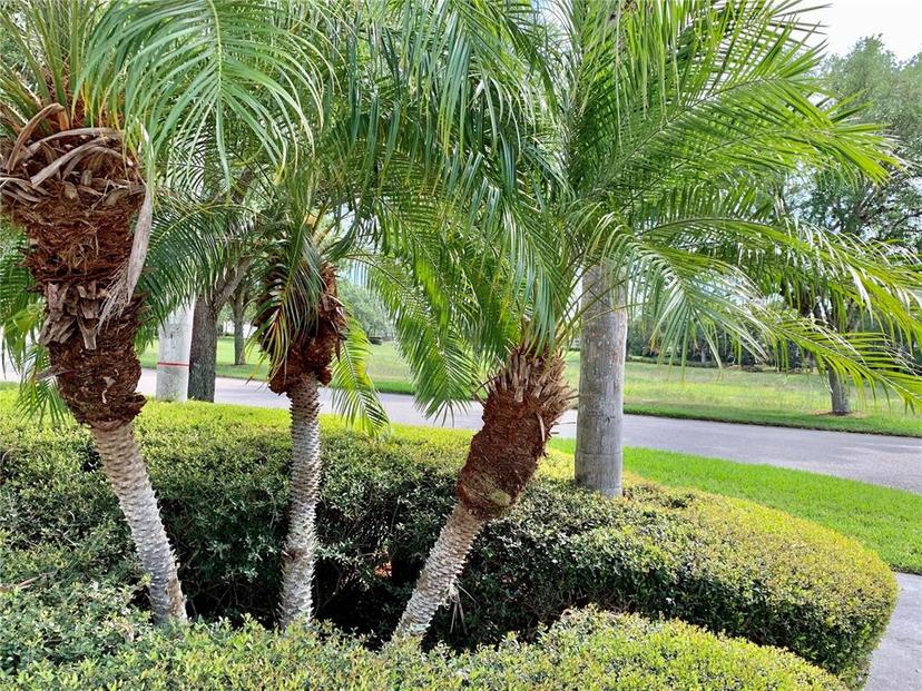 Picture of 7649 Quinto Drive, Sarasota FL 34238