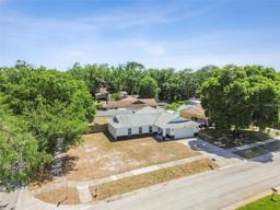 Picture of 13913 Cherry Brook Lane, Tampa, FL 33618
