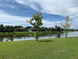 Picture of 7037 Towering Spruce Drive, Riverview, FL 33578