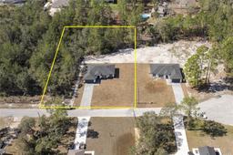 Picture of 41915 Aspen Street, Eustis, FL 32736