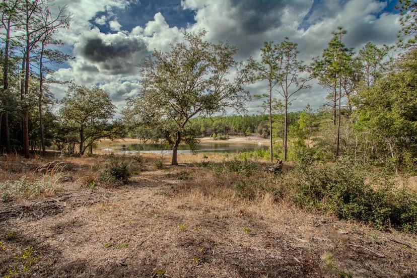 Picture of 200 Hour Glass Circle, Hawthorne FL 32640