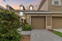 Picture of 4240 Bismarck Palm Drive, Tampa, FL 33610
