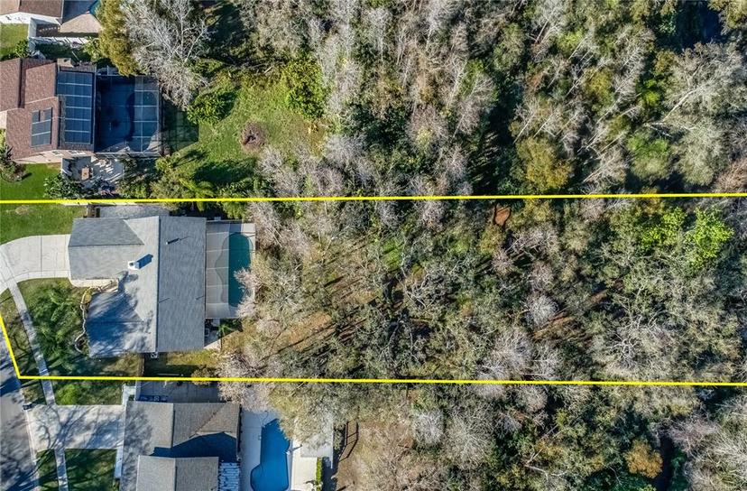 Picture of 4308 Grainary Avenue, Tampa FL 33624