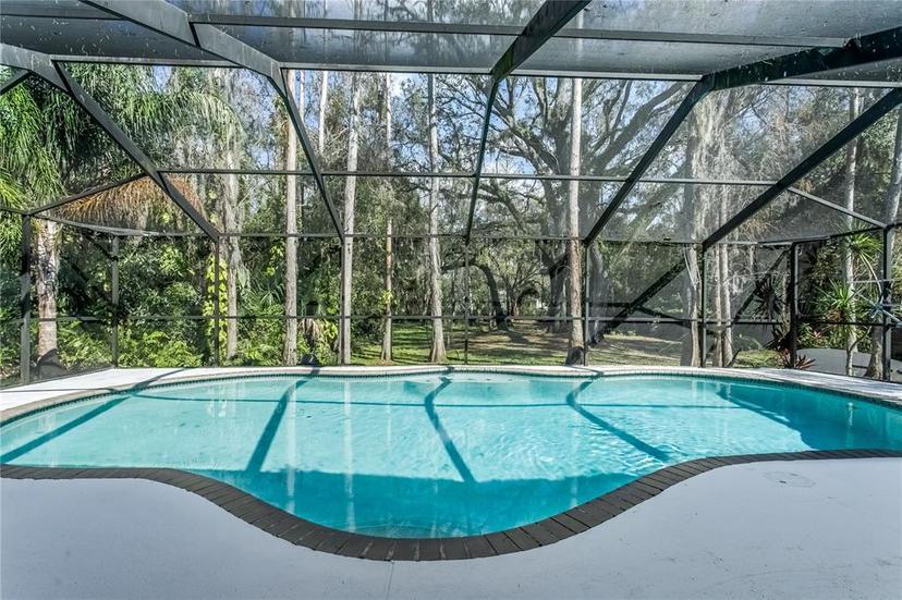 Picture of 4308 Grainary Avenue, Tampa FL 33624