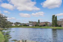 Picture of 2981 Northfield Drive, Tarpon Springs, FL 34688