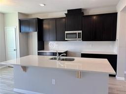 Picture of 9356 Bolshoi Alley, Winter Garden, FL 34787