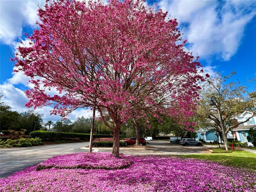 Picture of 7691 Heritage Crossing Way Unit C-1, Reunion FL 34747