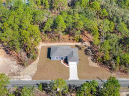 Picture of 11345 Thrasher Avenue, Weeki Wachee, FL 34614