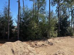 Picture of 7649 SW 180Th Circle, Dunnellon, FL 34432