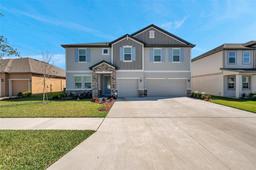 Picture of 8816 Mugnai Street, Riverview, FL 33578