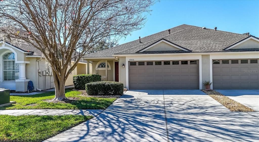 Picture of 31826 Larkenheath Drive, Wesley Chapel, FL 33543