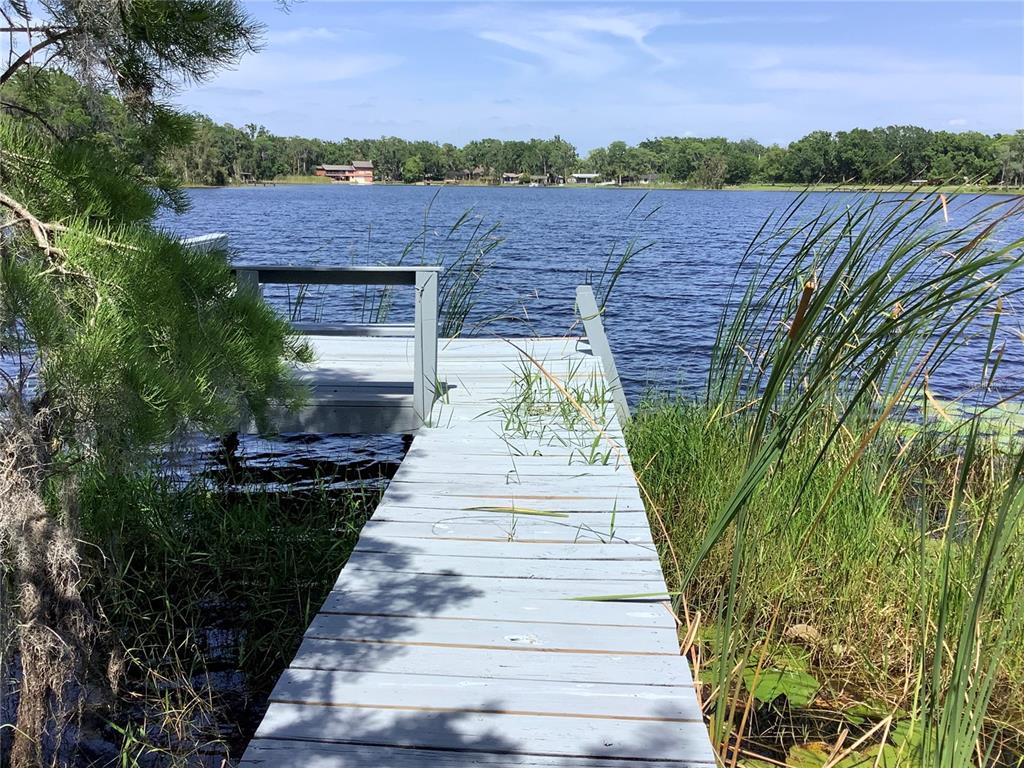 Picture of 16921 Crawley Road, Odessa, FL 33556