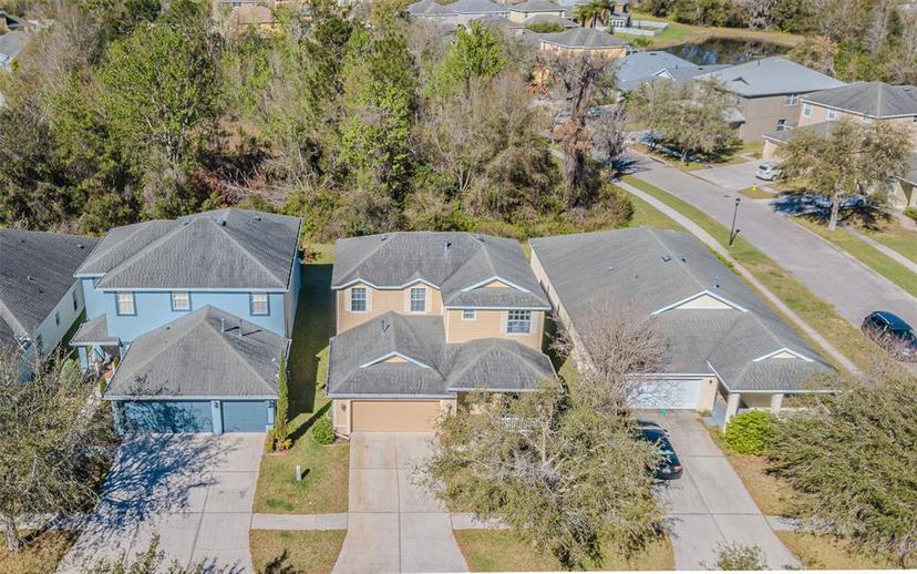 Picture of 20326 Merry Oak Avenue, Tampa FL 33647