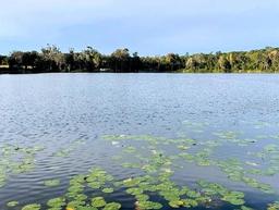 Picture of 145 Depot Road, Hawthorne, FL 32640