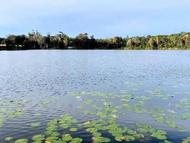 Picture of 145 Depot Road, Hawthorne FL 32640