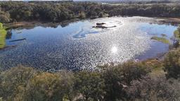 Picture of 1343 Spring Lake Road, Fruitland Park, FL 34731