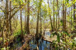 Picture of 14910 Sr 471, Webster, FL 33597
