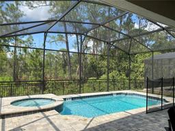Picture of 8949 Coconut Breeze Drive, Kissimmee, FL 34747