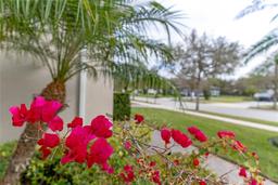 Picture of 31746 Red Tail Boulevard, Sorrento, FL 32776