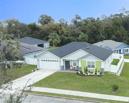 Picture of 113 Plumosus Park Dr, Deland, FL 32724