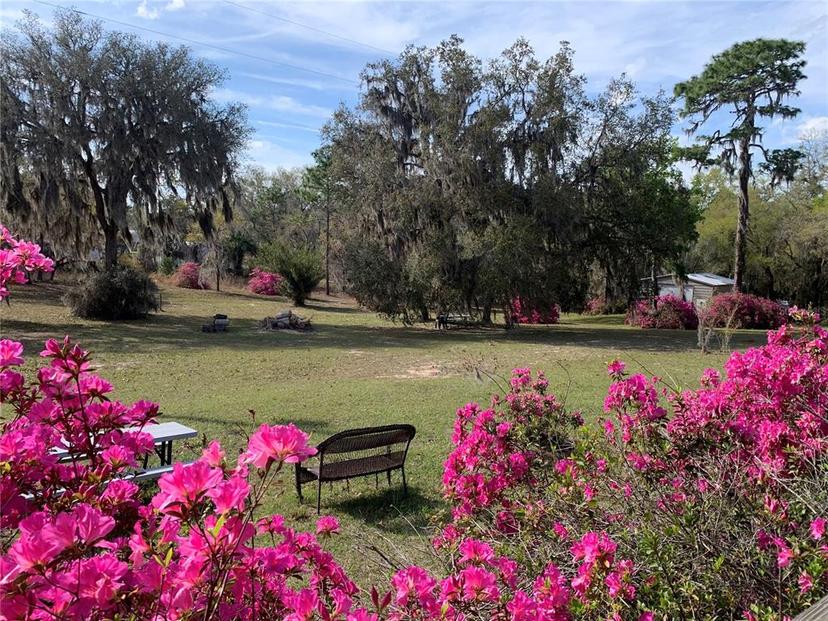 Picture of 24605 NE 177Th Terrace, Fort Mc Coy FL 32134