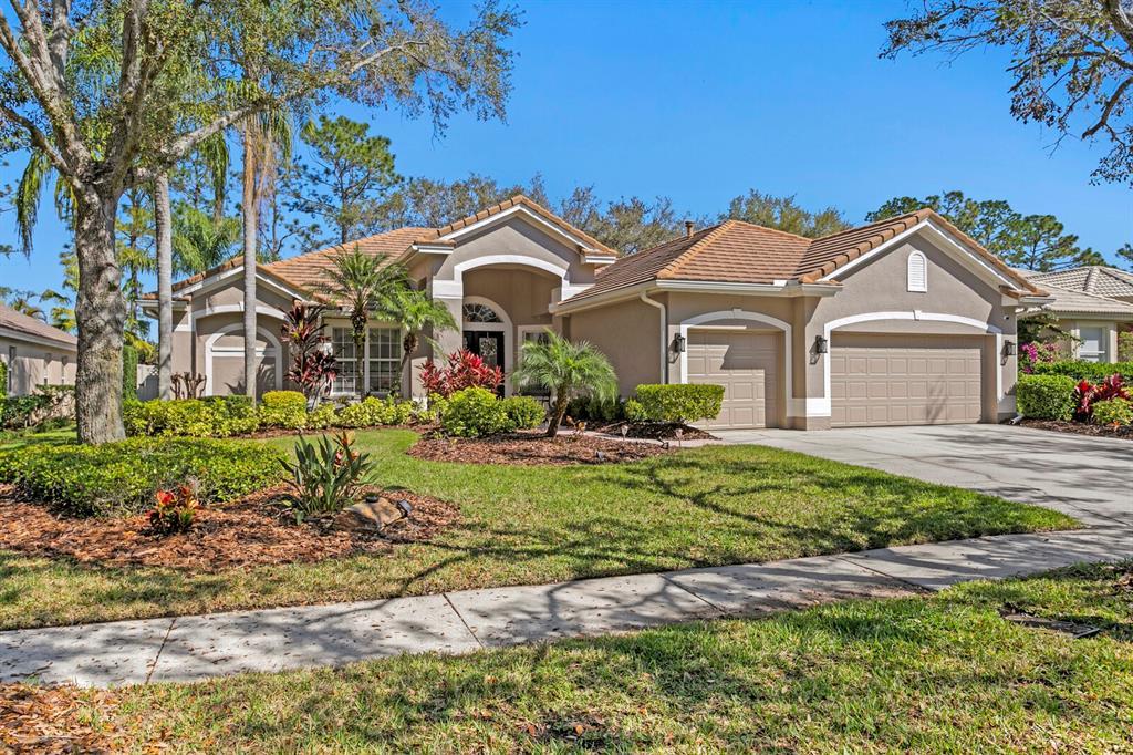 Picture of 18149 Regents Square Drive, Tampa, FL 33647