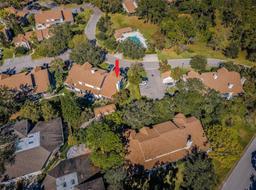 Picture of 2180 Clover Hill Road, Palm Harbor, FL 34683