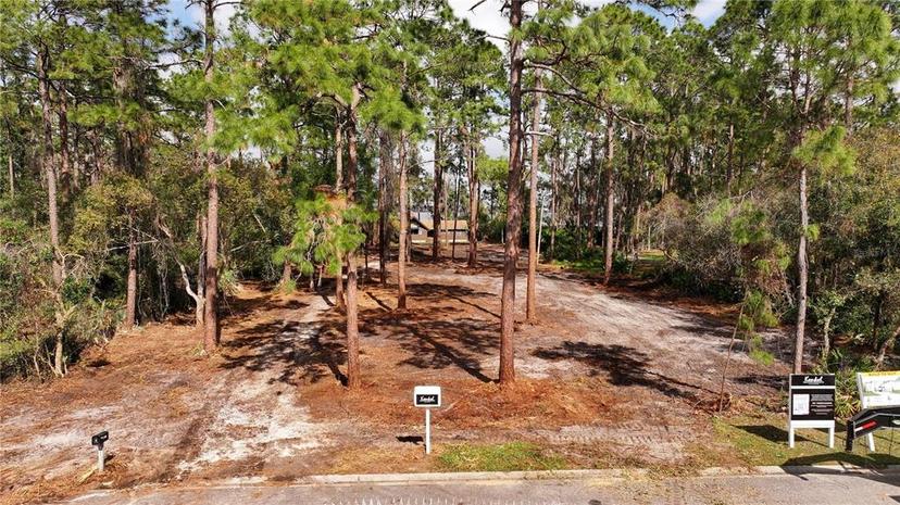 Picture of 10433 Trout Road, Orlando FL 32836