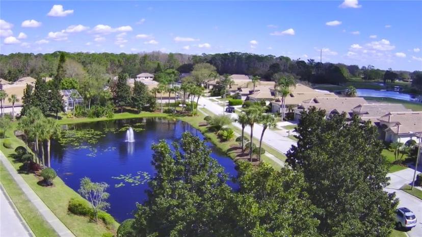 Picture of 4314 Live Oak Boulevard, Palm Harbor FL 34685