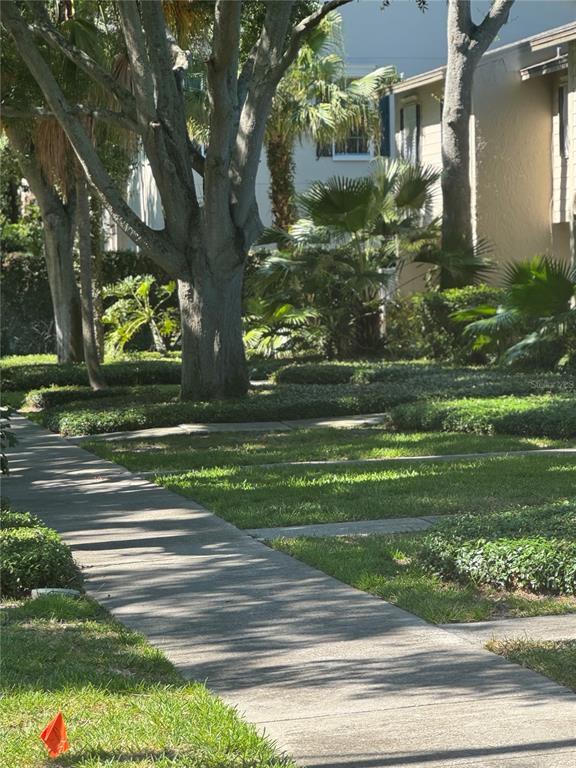 Picture of 5231 Bayshore Boulevard Unit 10, Tampa FL 33611