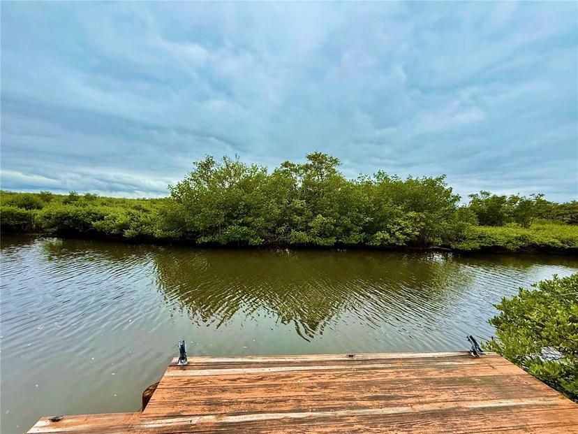 Picture of 22 Oak Tree Drive, New Smyrna Beach FL 32169