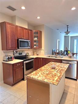 Picture of 9729 Asbel Estates Street, Land O Lakes, FL 34638