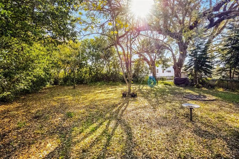 Picture of 303 S Forest Avenue, Orlando FL 32803