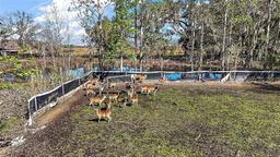 Picture of 10687 C 469, Center Hill, FL 33514