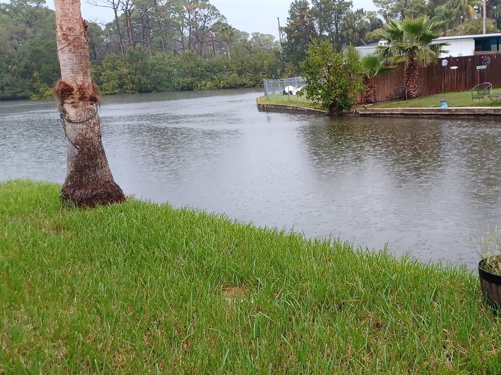 Picture of 5029 Osprey Lane, New Port Richey, FL 34652