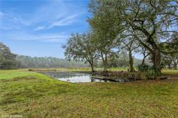 Picture of 5117 Cr 316A, Bushnell, FL 33513