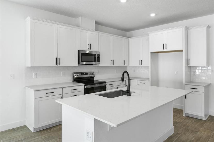Picture of 3749 Deer Ridge Drive, Mount Dora FL 32757