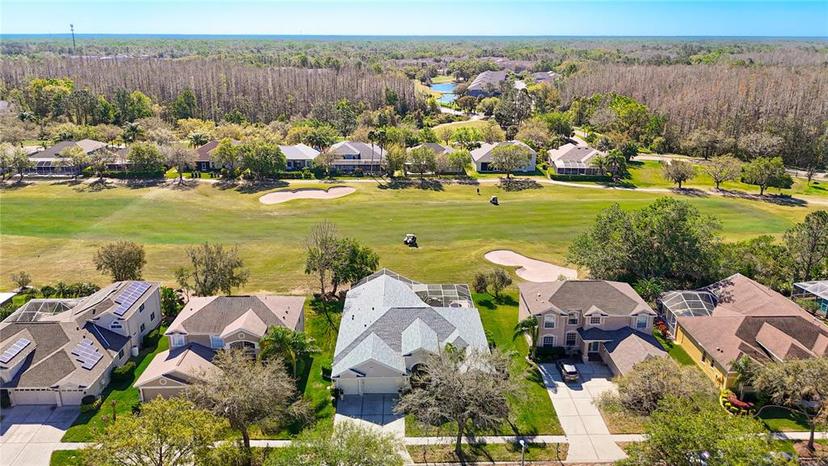 Picture of 18111 Diamond Cove Court, Tampa FL 33647
