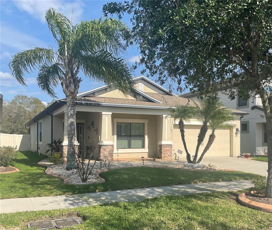Picture of 11648 Palmetto Pine Street, Riverview, FL 33569
