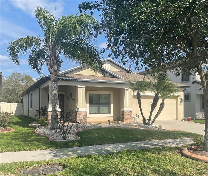 Picture of 11648 Palmetto Pine Street, Riverview FL 33569
