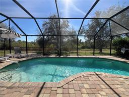Picture of 10052 Winding River Road, Punta Gorda, FL 33950