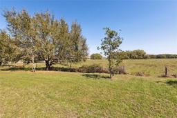 Picture of 1330 Bucktail Court, Kissimmee, FL 34746