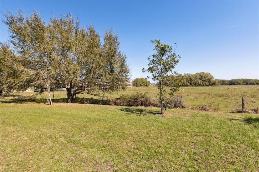 Picture of 1330 Bucktail Court, Kissimmee FL 34746